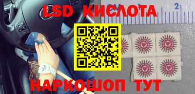 индика Краснознаменск