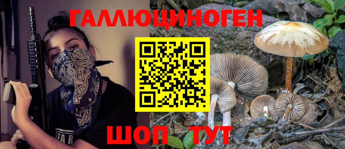 Галлюциногенные грибы мицелий Костомукша